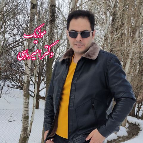 دانلود آهنگ امیر ماهی به نام شیرین آرزیمسان